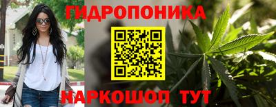 прущие грибы Кандалакша